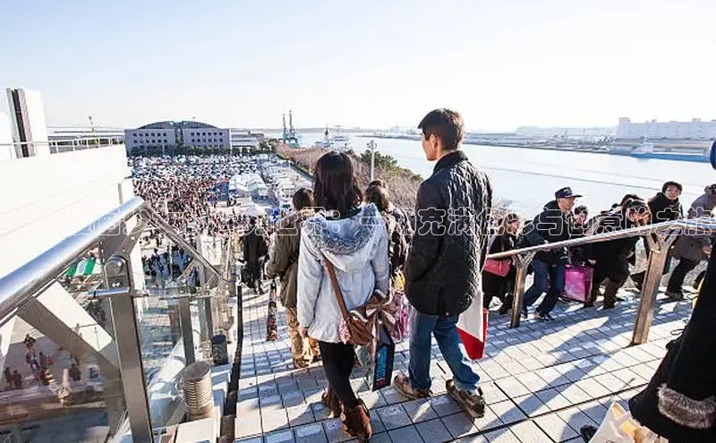 樱花漫画网页登录入口